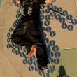 laying-800