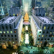 New York New York